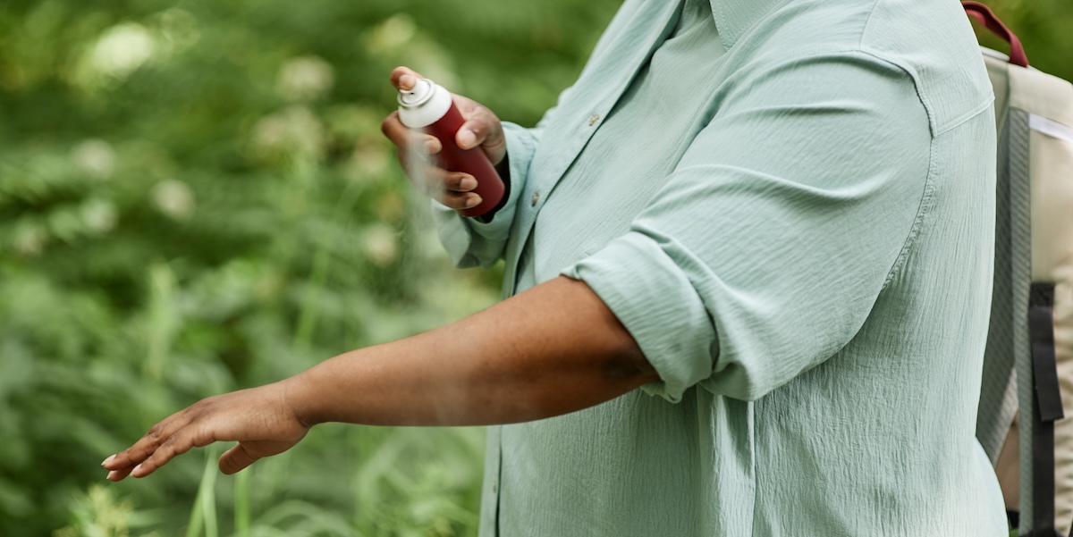 Oropouche virus disease: information for travellers and health professionals